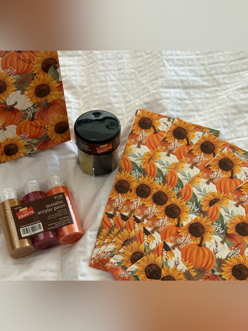 3 Piece Fall Craft Set